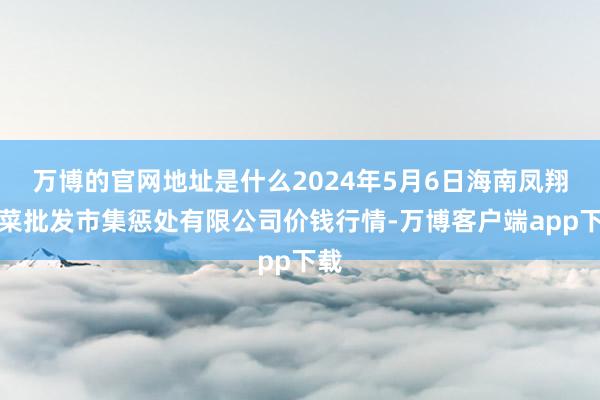 万博的官网地址是什么2024年5月6日海南凤翔蔬菜批发市集惩处有限公司价钱行情-万博客户端app下载