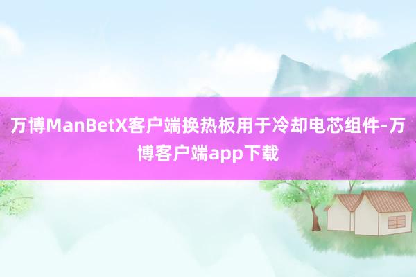 万博ManBetX客户端换热板用于冷却电芯组件-万博客户端app下载