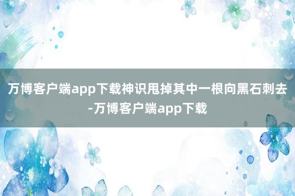 万博客户端app下载神识甩掉其中一根向黑石刺去-万博客户端app下载