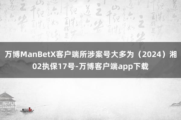 万博ManBetX客户端所涉案号大多为（2024）湘02执保17号-万博客户端app下载