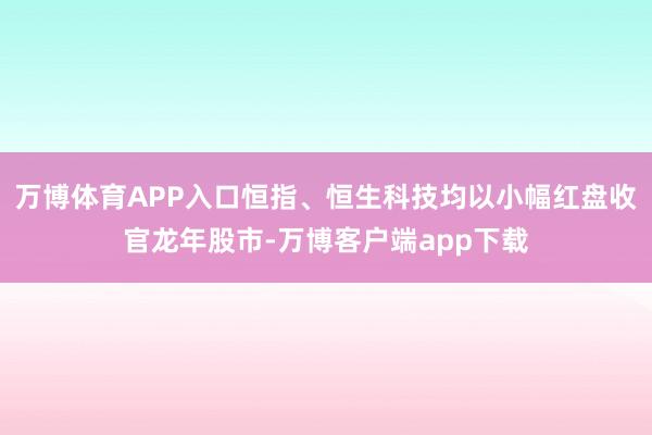 万博体育APP入口恒指、恒生科技均以小幅红盘收官龙年股市-万博客户端app下载