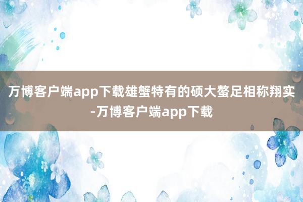万博客户端app下载雄蟹特有的硕大螯足相称翔实-万博客户端app下载